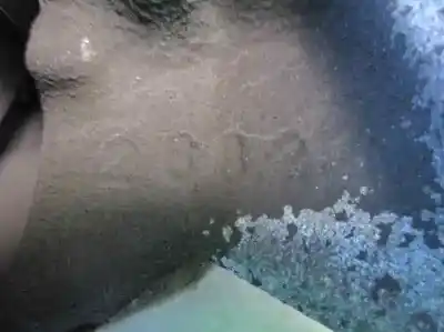 Автозапчасти б/у передний левый тормозной суппорт за seat leon (5f1) 1.6 tdi ссылки oem iam 8v0615123  6791c