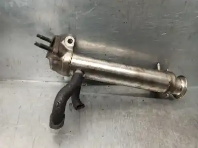 Pezzo di ricambio per auto di seconda mano raffreddatore egr per renault vel satis (bj0) 3.0 dci diesel (p9x) riferimenti oem iam 8972292313  