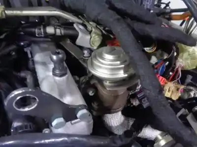 Gebrauchtes Autoersatzteil kompletter motor zum volkswagen passat berlina (3b3) 2.5 v6 tdi oem-iam-referenzen bdh 059100098cx 006312