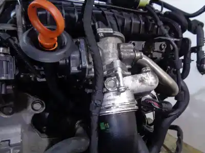 Gebrauchtes Autoersatzteil kompletter motor zum seat leon (1p1) 2.0 tdi oem-iam-referenzen bmn 03g100032c 047701