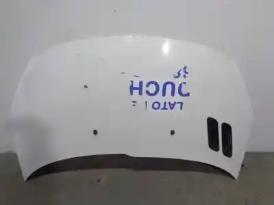 Pièce détachée automobile d'occasion CAPOT pour PEUGEOT 206 SW (2E/K)  Références OEM IAM 7901Q9  