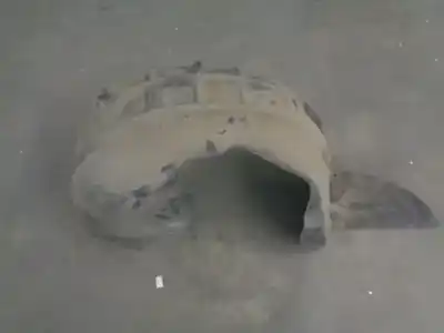 Peça sobressalente para automóvel em segunda mão cave de roda traseira direita por peugeot 308 sw i (4e_, 4h_) 1.6 16v referências oem iam 9681442580