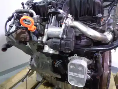 Pezzo di ricambio per auto di seconda mano motore completo per seat altea xl (5p5, 5p8) 1.6 tdi riferimenti oem iam cayc 03l100036k g35633