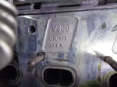 Pezzo di ricambio per auto di seconda mano motore completo per seat altea xl (5p5, 5p8) 1.6 tdi riferimenti oem iam cayc 03l100036k g35633