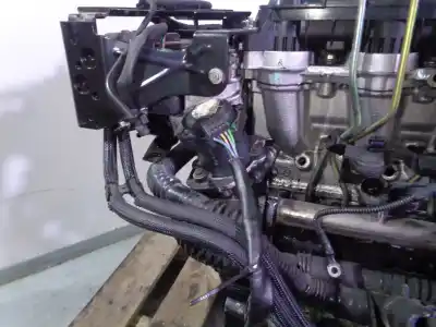 Second-hand car spare part complete engine for ford focus berlina (cap) 1.6 tdci cat oem iam references g8da 0022988 10jb28