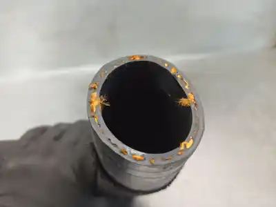 Автозапчастина б/у труба для dacia jogger ml  посилання на oem iam 144605006r  