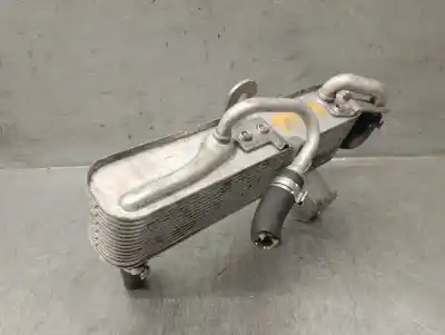 Pezzo di ricambio per auto di seconda mano raffreddatore diesel per audi a8 d3 (4e2, 4e8) 4.0 tdi quattro riferimenti oem iam 057203491g  8504227