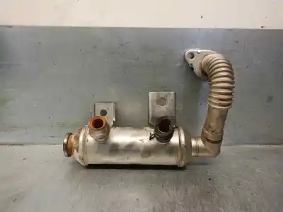 Pezzo di ricambio per auto di seconda mano Raffreddatore Egr per FORD TRANSIT CONNECT (TC7) 1.8 TDCi CAT Riferimenti OEM IAM 7T1Q9F464AB  