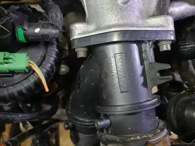 Gebrauchtes Autoersatzteil kompletter motor zum citroen c8 2.2 hdi 16v premier ii oem-iam-referenzen 4hw 4011116 10dz46