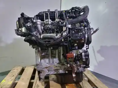 Peça sobressalente para automóvel em segunda mão motor completo por ford focus lim. (cb4) 1.6 tdci cat referências oem iam g8dd 9m5q600788 be42891