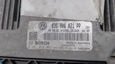 Pezzo di ricambio per auto di seconda mano centralina motore per volkswagen jetta (1k2) 2.0 tdi riferimenti oem iam 03g906021pp  0281014063