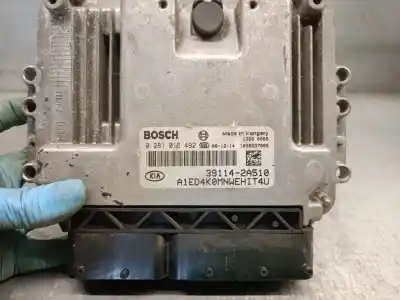 Автозапчасти б/у блок управления двигателем за kia cee'd fastback (ed) 1.6 crdi 90 ссылки oem iam 391142a510 0281016492 bosch 