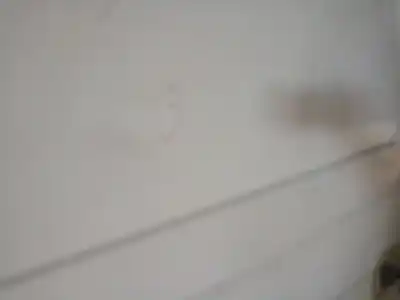 Second-hand car spare part right sliding side door for iveco daily iv furgón 35c12 v, 35c12 v/p, 35s12 v, 35s12 v/p oem iam references 3803522  3803522