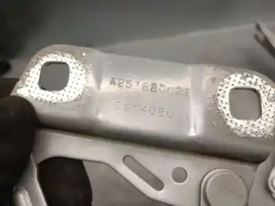 Автозапчастина б/у петля капота для mercedes-benz clase r (w251, v251) r 350 4-matic (251.065, 251.165) посилання на oem iam a2518800228  a2518800128