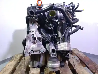 Peça sobressalente para automóvel em segunda mão motor completo por audi a4 b7 (8ec) 2.0 tdi 16v referências oem iam blb 127831 03g100033t
