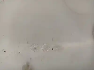 Second-hand car spare part windscreen washer bottle for bmw x5 (e70) xdrive 35 d oem iam references 7161476 7161465 61667162588