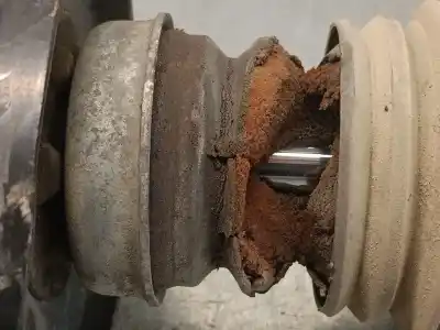 Peça sobressalente para automóvel em segunda mão amortecedor traseiro direito por bmw x5 (e53) 3.0 d referências oem iam 33506751543  33506751543