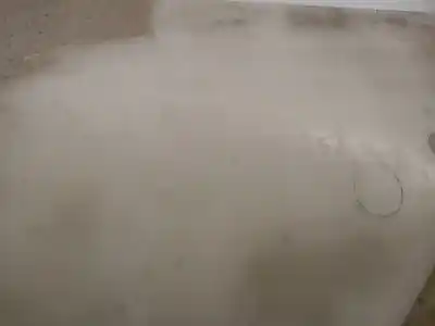 Автозапчастина б/у чистий депозит для porsche cayenne (92a) 3.0 diesel посилання на oem iam 7p0955453  95852870300