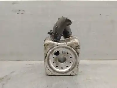 Peça sobressalente para automóvel em segunda mão RADIADOR DE ÓLEO DO MOTOR por SEAT IBIZA II (6K1)  Referências OEM IAM 028117021L  028117021L
