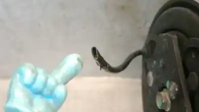 Peça sobressalente para automóvel em segunda mão compressor de ar condicionado a/a a/c por audi a6 c5 (4b2) 1.8 t referências oem iam 8d0260805m  