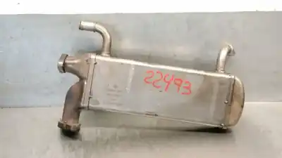 Peça sobressalente para automóvel em segunda mão radiador de gases de escape (egr) por volkswagen crafter caja/chasis (sz_) 2.0 tdi referências oem iam 03l131511l