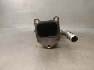 Pezzo di ricambio per auto di seconda mano raffreddatore egr per ssangyong rexton 2.7 turbodiesel cat riferimenti oem iam a6651400470  a6651400470