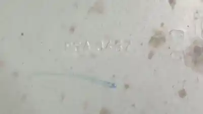 Автозапчасти б/у задняя выхлопная труба за peugeot 508 ii (fb_, fh_, f3_) 2.0 bluehdi 160 (fhehyr) ссылки oem iam 9811769180  9811769180