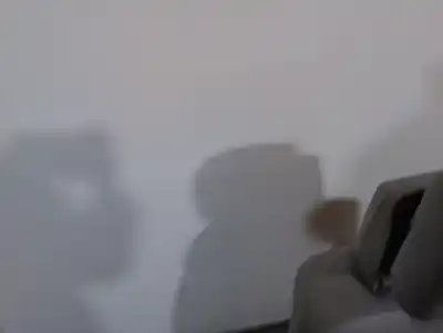 Автозапчасти б/у левое переднее сидение за mercedes-benz clase r (w251, v251) r 320 cdi 4-matic (251.022, 251.122) ссылки oem iam a0009104734  a0009104734