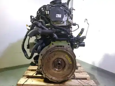 Pezzo di ricambio per auto di seconda mano motore completo per seat ibiza iv (6j5, 6p1) 1.6 tdi riferimenti oem iam cayb y01643 03l100090q