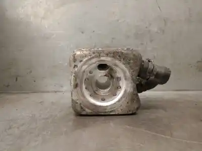 Peça sobressalente para automóvel em segunda mão RADIADOR DE ÓLEO DO MOTOR por SEAT IBIZA III (6L1)  Referências OEM IAM 023117021L  028117021L