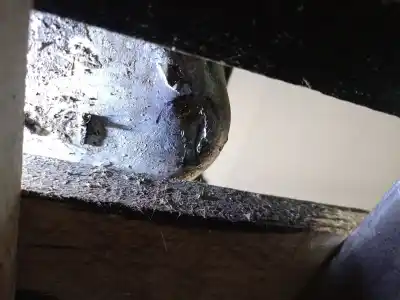 Pezzo di ricambio per auto di seconda mano motore completo per opel corsa d (s07) 1.2 (l08, l68) riferimenti oem iam a12xer 19tn4673 601904