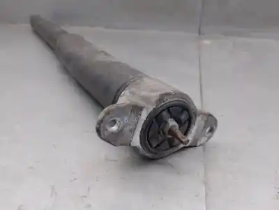 Peça sobressalente para automóvel em segunda mão amortecedor traseiro direito por ford focus iii 1.6 tdci referências oem iam bv6118080lab  1880579