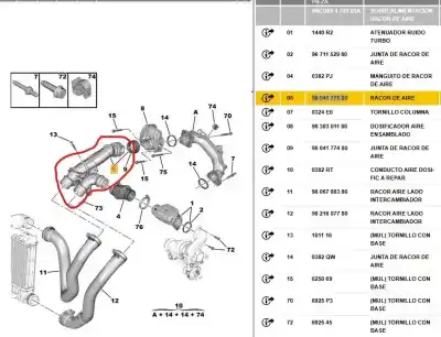 Pezzo di ricambio per auto di seconda mano tubo per citroen jumpy combi 1.6 blue-hdi fap riferimenti oem iam 9804177580  9804177580