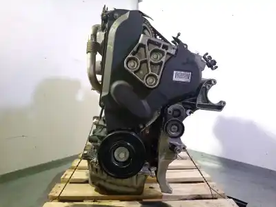 Pezzo di ricambio per auto di seconda mano MOTORE COMPLETO per RENAULT LAGUNA II (BG0) 1.9 dCi Diesel FAP 131 CV / 96 KW Riferimenti OEM IAM F9Q1758  