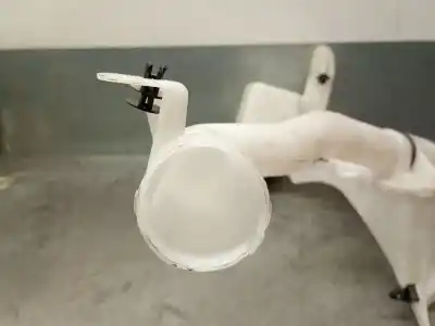 Автозапчастина б/у чистий депозит для renault clio v (b7_) 1.6 e-tech 140 (b7mu) посилання на oem iam 289103923r  289108657r