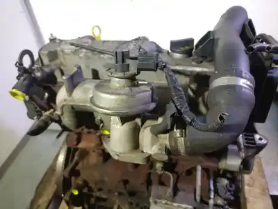 Pezzo di ricambio per auto di seconda mano motore completo per ford transit connect (tc7) 1.8 tdci cat riferimenti oem iam bhpa 6j84958 1354658