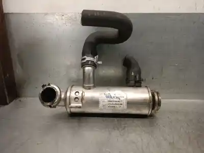 Pezzo di ricambio per auto di seconda mano Raffreddatore Egr per FORD FOCUS II SEDÁN (DB_, FCH, DH) 1.6 TDCI Riferimenti OEM IAM 3M5Q9F464BC  1497378