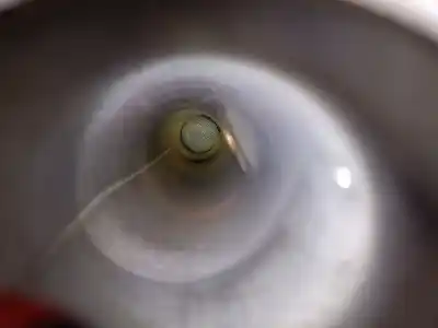 Автозапчастина б/у катализатор для jaguar f-pace (x761) 2.0 td4 посилання на oem iam hk835l219ck 82280484 tenneco t4a3299