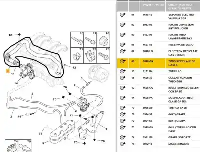 Автозапчастина б/у труба для citroen berlingo 1.9 d multispace посилання на oem iam 96311647  1628gn