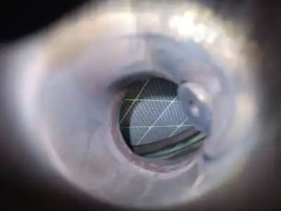 Pezzo di ricambio per auto di seconda mano catalizzatore per citroen c4 lim. collection riferimenti oem iam psak686 psaf026 9808329780