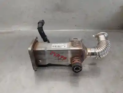 Автозапчасти б/у охладитель рог за renault grand scénic ii (jm0/1_) 1.9 dci (jm0g jm12 jm1g jm2c) ссылки oem iam 7701058851  7701058851