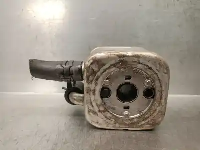 Peça sobressalente para automóvel em segunda mão  por AUDI A4 BERLINA (8E)  Referências OEM IAM 059117021B  059117021B