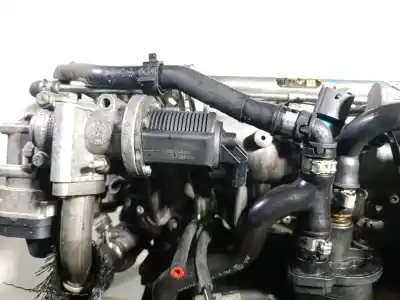 Pezzo di ricambio per auto di seconda mano motore completo per opel astra gtc 1.9 16v cdti cat (z 19 dth / lrd) riferimenti oem iam z19dth 17047935 5601279