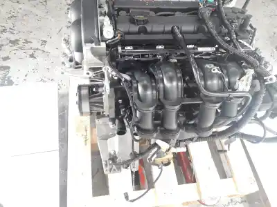 Peça sobressalente para automóvel em segunda mão motor completo por ford focus berlina (cap) 1.6 cat referências oem iam   