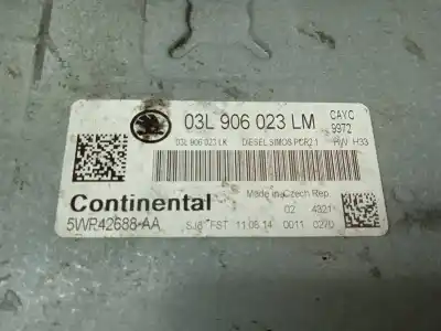 Recambio de automóvil de segunda mano de centralita motor uce para skoda rapid 1.6 tdi dpf referencias oem iam 03l906023lm  