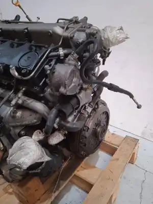Gebrauchtes Autoersatzteil kompletter motor zum alfa romeo 156 sportwagon (116) 2.4 jtd cat oem-iam-referenzen 841c000  