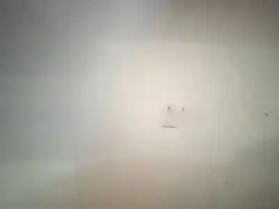 Автозапчастина б/у передні ліві двері для ssangyong rodius 2.7 turbodiesel cat посилання на oem iam   