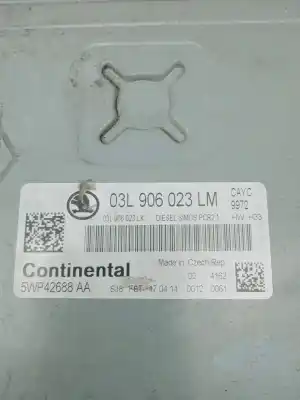 Recambio de automóvil de segunda mano de centralita motor uce para skoda rapid 1.6 tdi dpf referencias oem iam 03l906023lm  