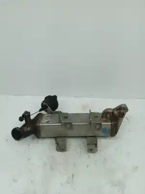 Pezzo di ricambio per auto di seconda mano RAFFREDDATORE EGR per NISSAN X-TRAIL (T31)  Riferimenti OEM IAM 8200719993  