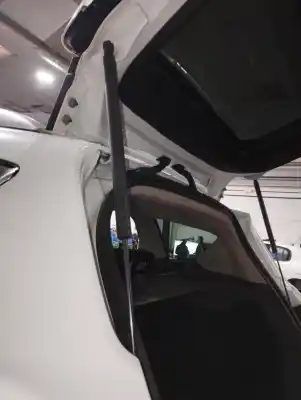 Peça sobressalente para automóvel em segunda mão amortecedores do tronco / porta por ford kuga (cbv) trend referências oem iam 8v41s406a10ad